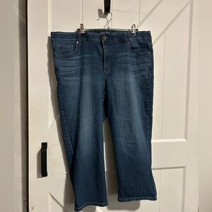 Terra & Sky Dark Blue Jean Capris